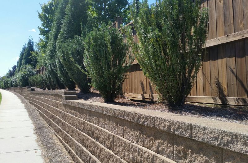 Hardscape Wall Construction in Marin County, CA
